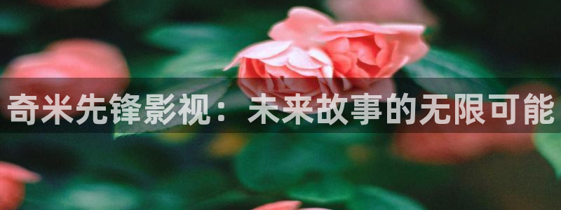 飘雪影院日剧免费观看