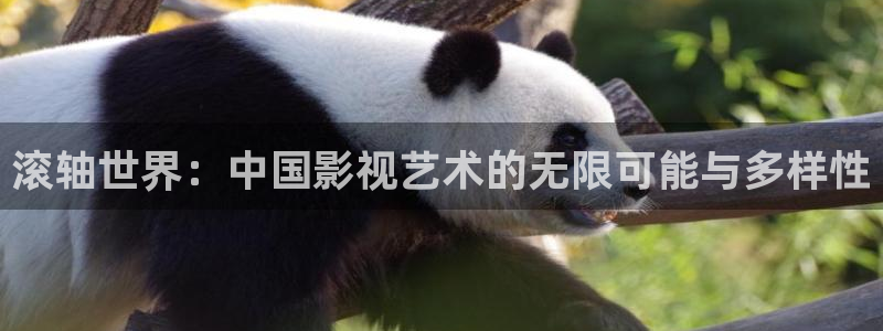 飘雪影院我不卡